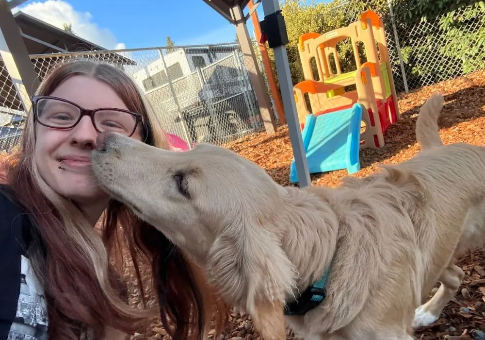 doggy day care service