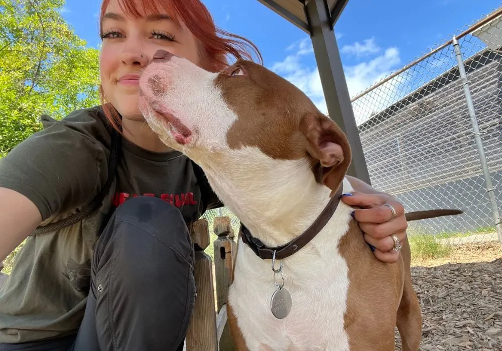 doggy day care service